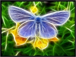 Motyl modraszek, Niebieski, Fractalius